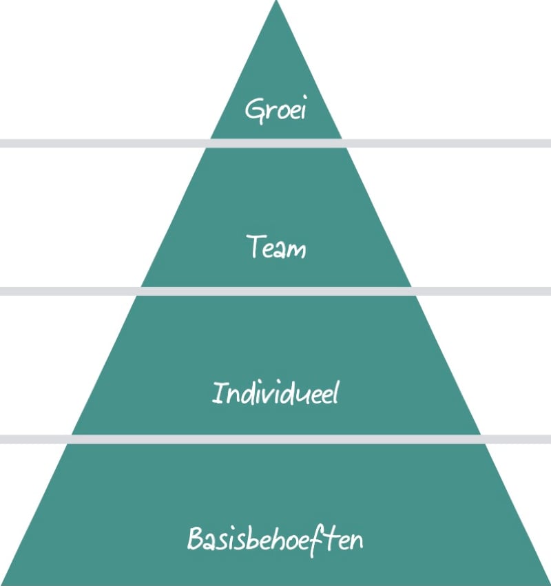 4 niveaus van de Q12:m basisbehoeften, individueel, team en groei